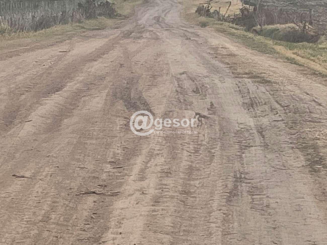 Image6